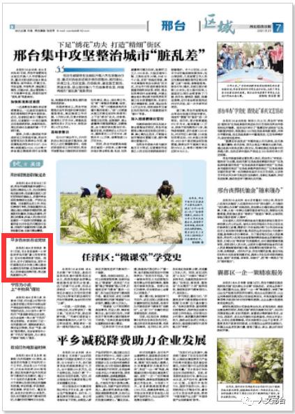 OPPO 2024超影像大赛开启 用移动影像呈现光影艺术盛宴